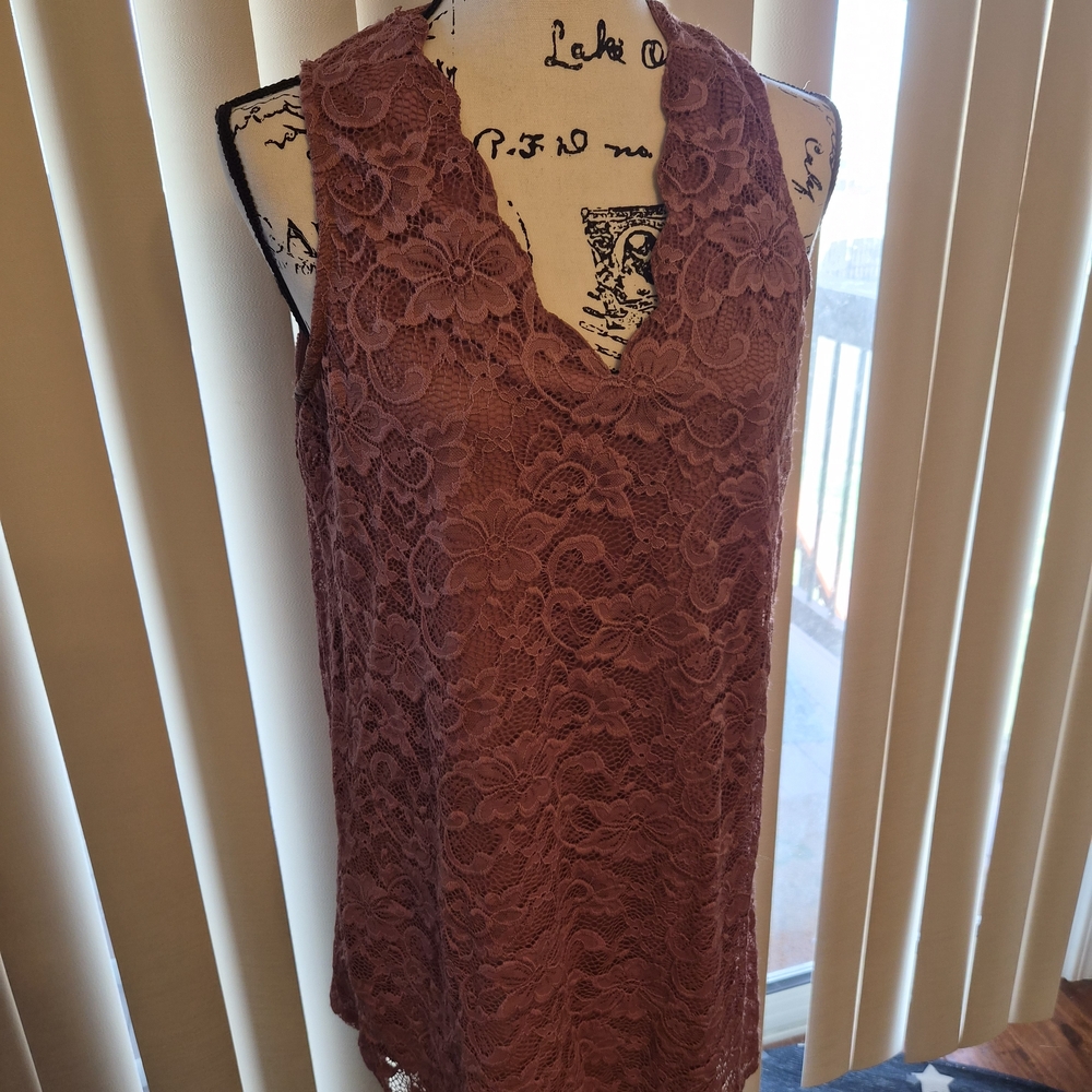 Francesca's Collections Dusty Rose Lace Mini Dress